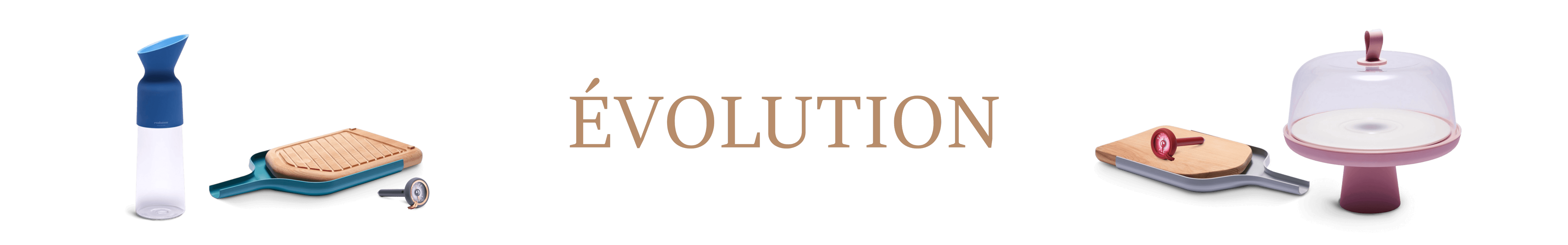 ÉVOLUTION - Mauviel1830